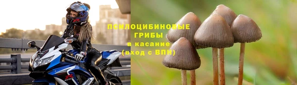 ECSTASY Горно-Алтайск