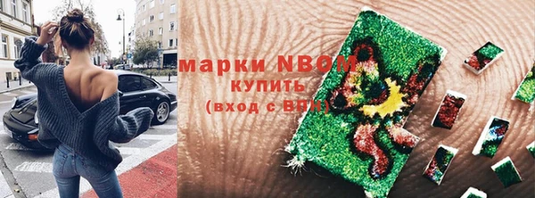 винт Гусь-Хрустальный