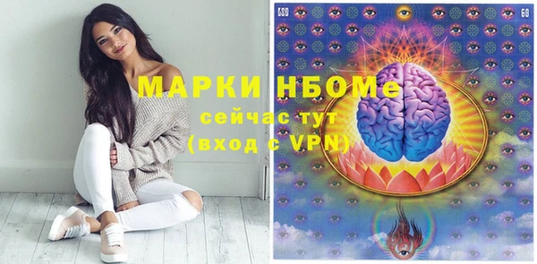 винт Гусь-Хрустальный
