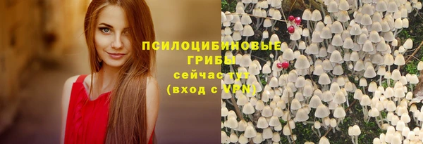 mdma Горняк