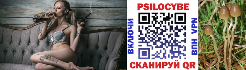 Купить закладки  Туймазы  Псилоцибиновые грибы GOLDEN TEACHER 